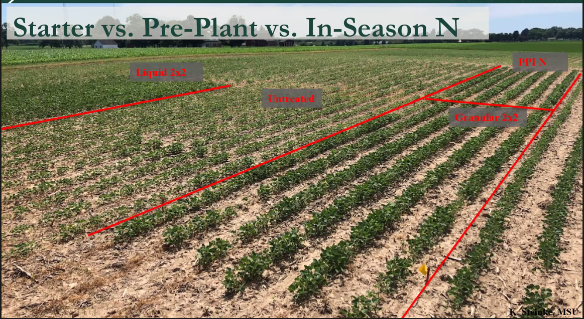 Soybeans with different growth rates.